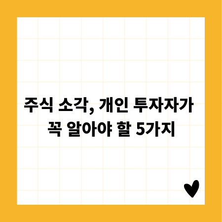 주식 소각, 개인 투자자가 꼭 알아야 할 5가지