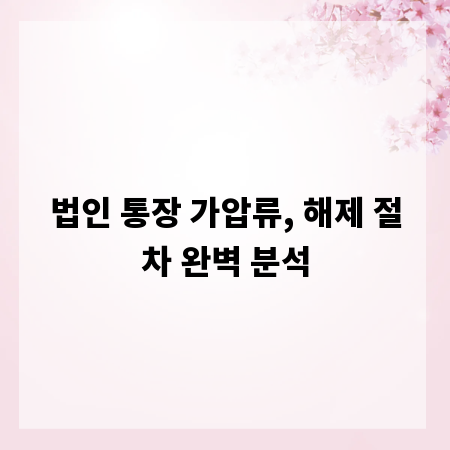 법인 통장 가압류, 해제 절차 완벽 분석
