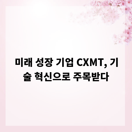 미래 성장 기업 CXMT, 기술 혁신으로 주목받다