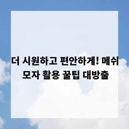 더 시원하고 편안하게! 메쉬 모자 활용 꿀팁 대방출