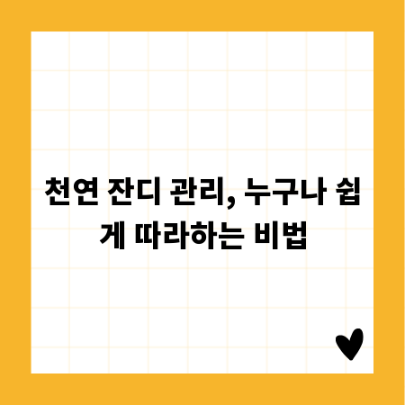 천연 잔디 관리, 누구나 쉽게 따라하는 비법
