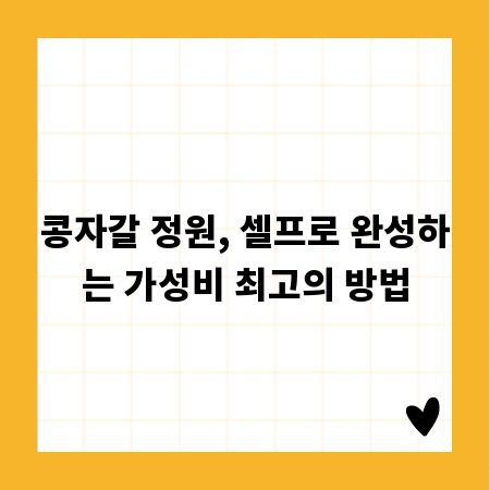 콩자갈 정원, 셀프로 완성하는 가성비 최고의 방법