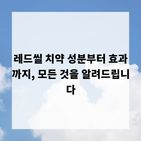 레드씰 치약 성분부터 효과까지, 모든 것을 알려드립니다