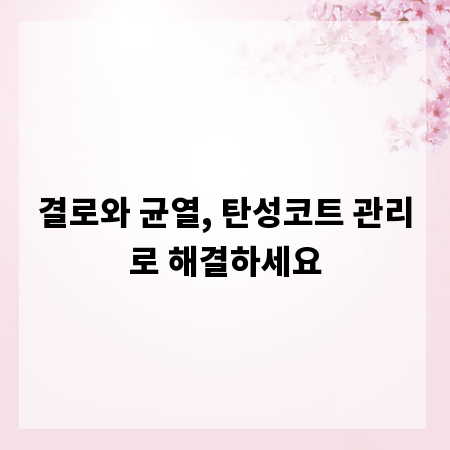 결로와 균열, 탄성코트 관리로 해결하세요