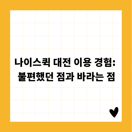 나이스퀵 대전 이용 경험: 불편했던 점과 바라는 점