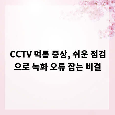 CCTV 먹통 증상, 쉬운 점검으로 녹화 오류 잡는 비결