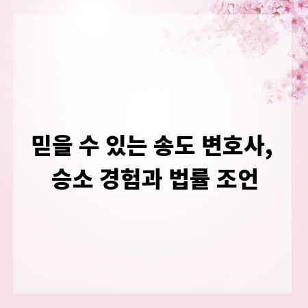 믿을 수 있는 송도 변호사, 승소 경험과 법률 조언