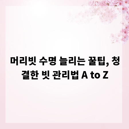 머리빗 수명 늘리는 꿀팁, 청결한 빗 관리법 A to Z