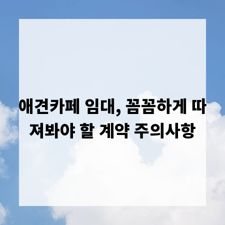 애견카페 임대, 꼼꼼하게 따져봐야 할 계약 주의사항