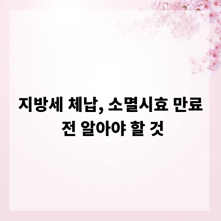 지방세 체납, 소멸시효 만료 전 알아야 할 것