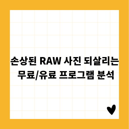 손상된 RAW 사진 되살리는 무료/유료 프로그램 분석