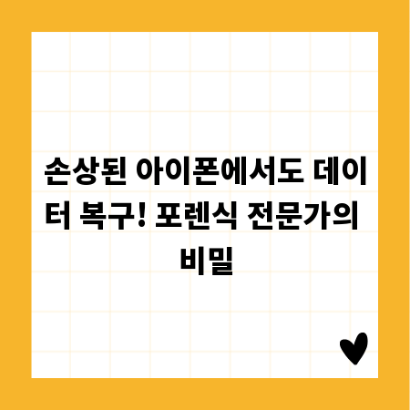손상된 아이폰에서도 데이터 복구! 포렌식 전문가의 비밀
