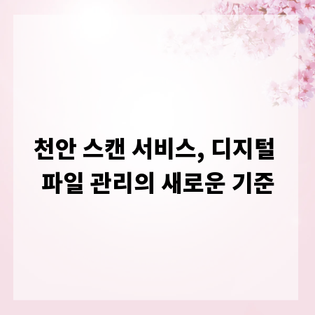 천안 스캔 서비스, 디지털 파일 관리의 새로운 기준