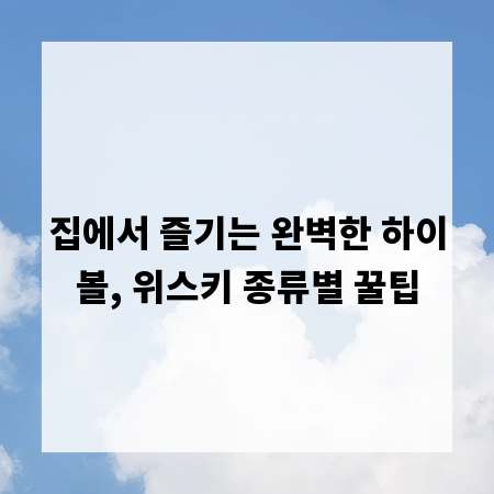 집에서 즐기는 완벽한 하이볼, 위스키 종류별 꿀팁