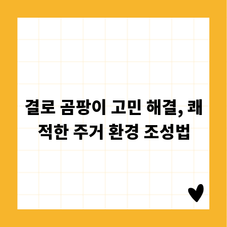 결로 곰팡이 고민 해결, 쾌적한 주거 환경 조성법