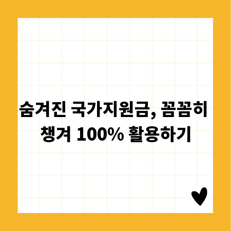 숨겨진 국가지원금, 꼼꼼히 챙겨 100% 활용하기