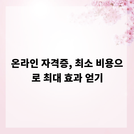 온라인 자격증, 최소 비용으로 최대 효과 얻기