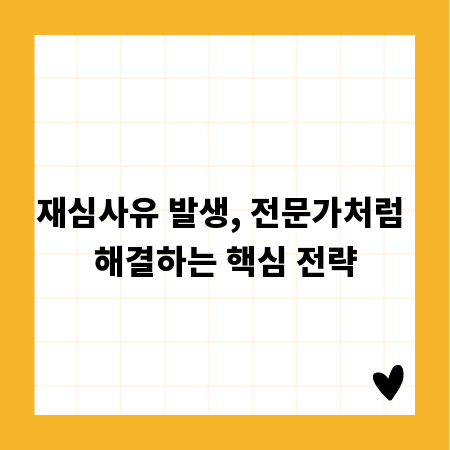 재심사유 발생, 전문가처럼 해결하는 핵심 전략