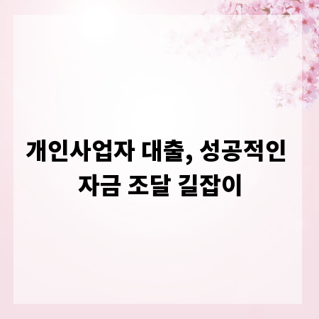 개인사업자 대출, 성공적인 자금 조달 길잡이