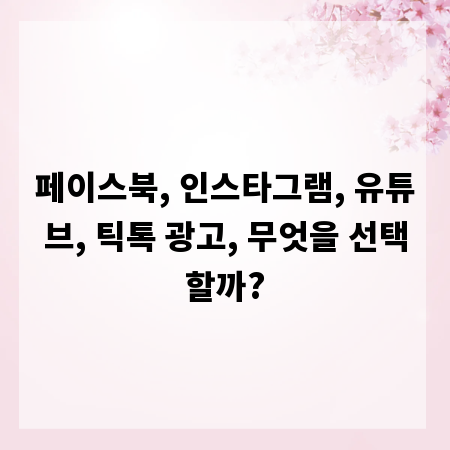 페이스북, 인스타그램, 유튜브, 틱톡 광고, 무엇을 선택할까?
