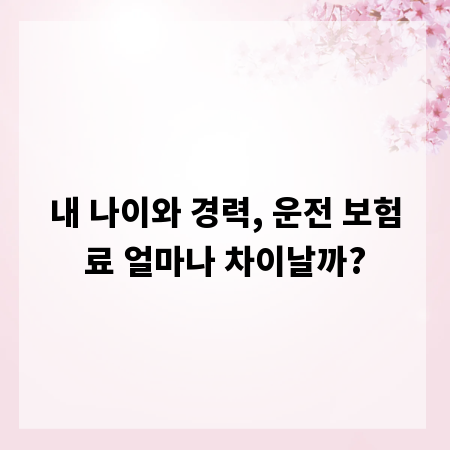 내 나이와 경력, 운전 보험료 얼마나 차이날까?
