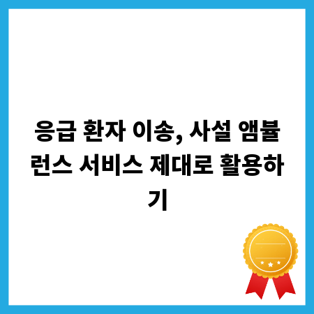 응급 환자 이송, 사설 앰뷸런스 서비스 제대로 활용하기