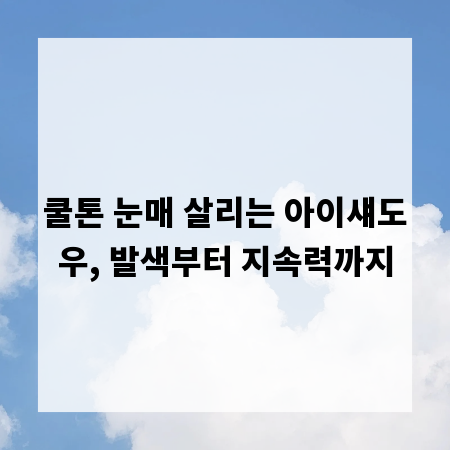 쿨톤 눈매 살리는 아이섀도우, 발색부터 지속력까지