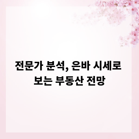 전문가 분석, 은바 시세로 보는 부동산 전망