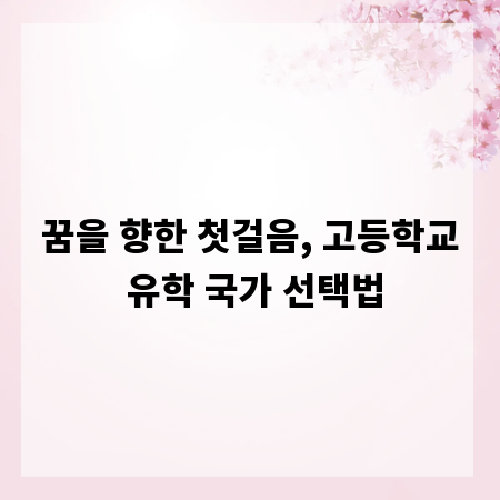 꿈을 향한 첫걸음, 고등학교 유학 국가 선택법