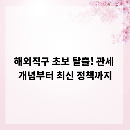 해외직구 초보 탈출! 관세 개념부터 최신 정책까지